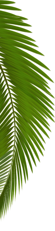 adorno-vegetal-2